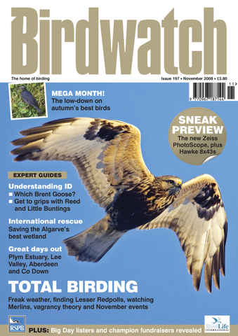 Birdwatch Magazine issue November 2008