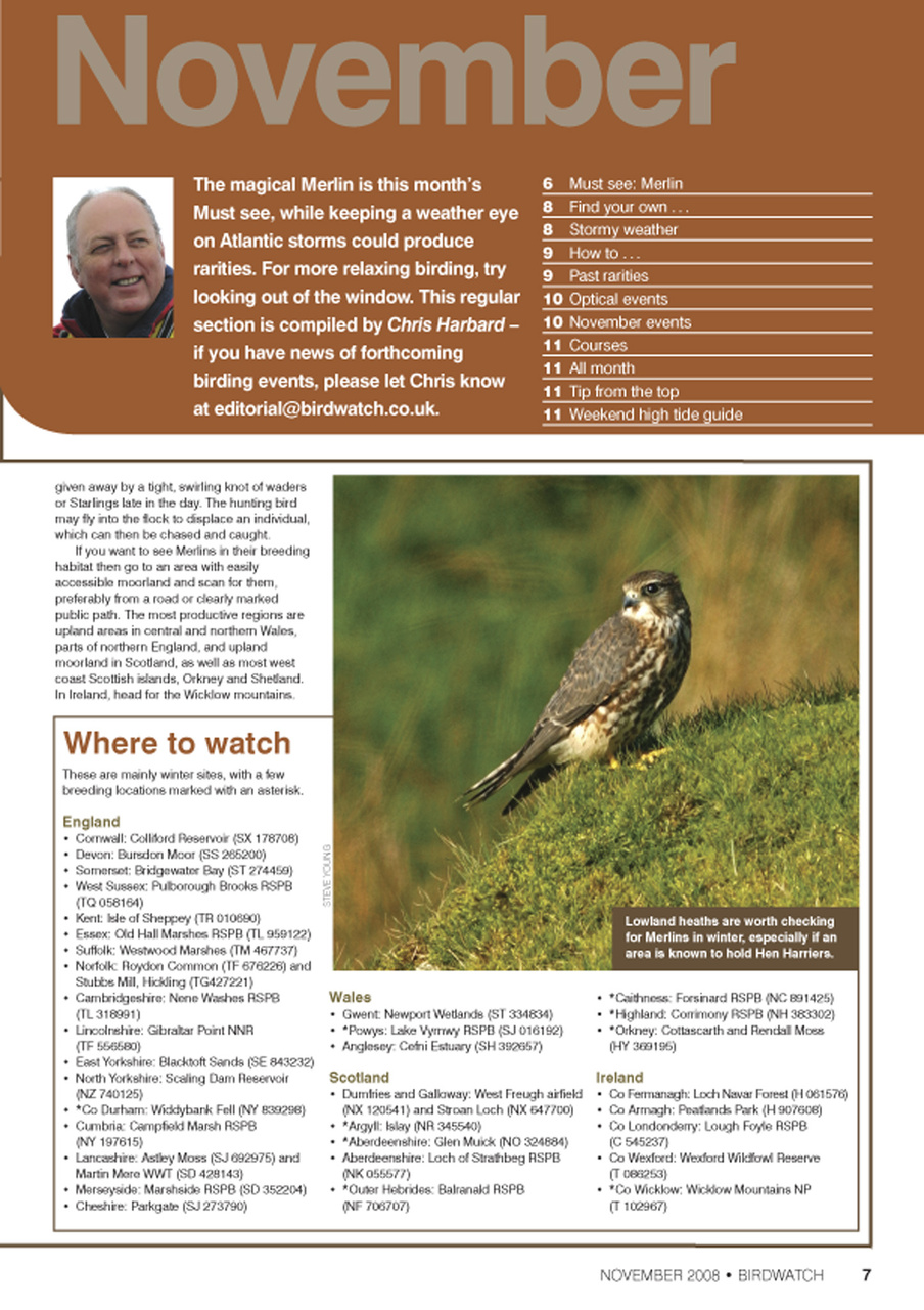 Birdwatch Magazine Preview Pages
