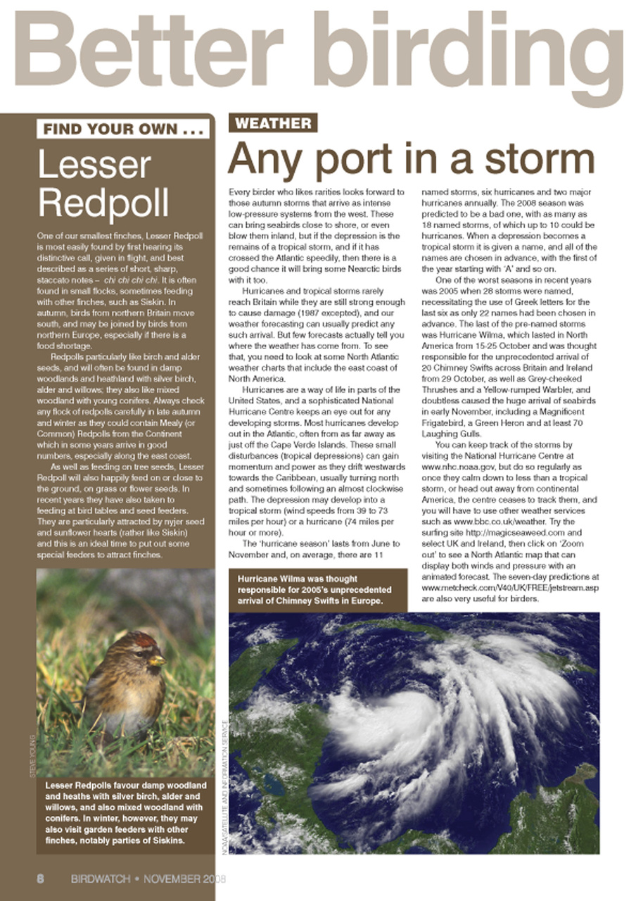Birdwatch Magazine Preview Pages