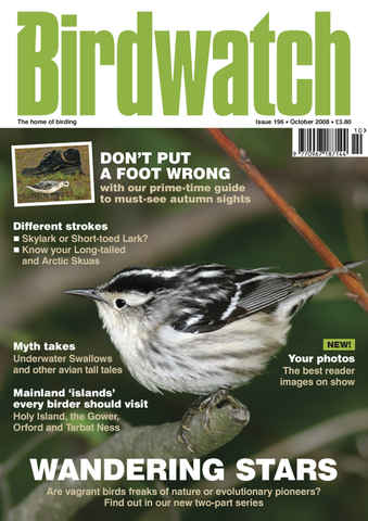Birdwatch Magazine issue October 2008