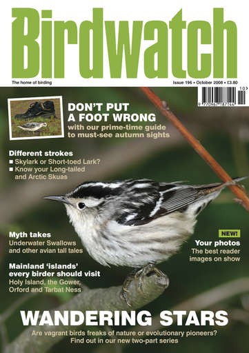 Birdwatch Magazine issue 