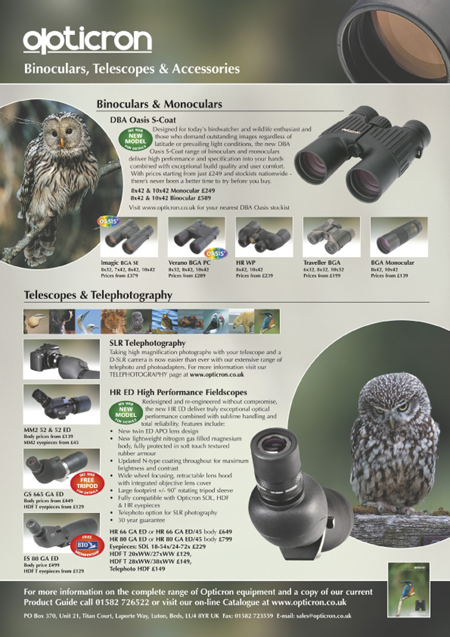 Birdwatch Magazine Preview Pages
