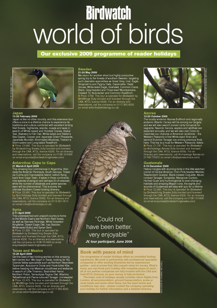 Birdwatch Magazine Preview Pages