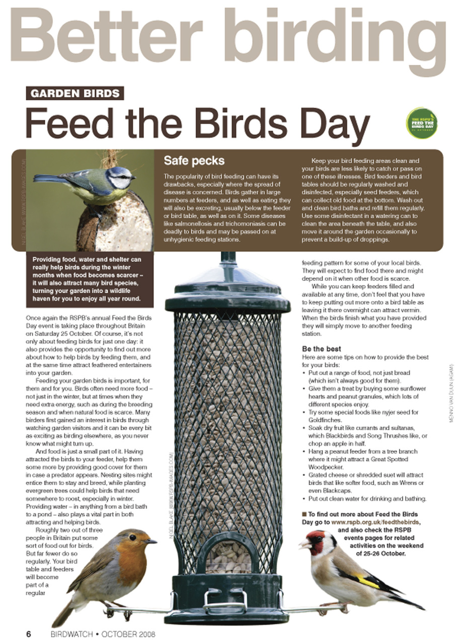 Birdwatch Magazine Preview Pages