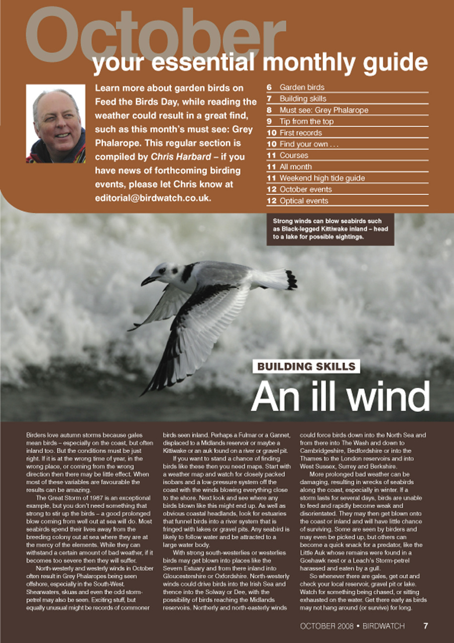 Birdwatch Magazine Preview Pages