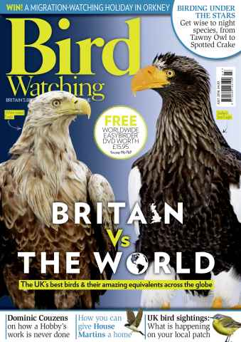 Bird Watching issue July 2016