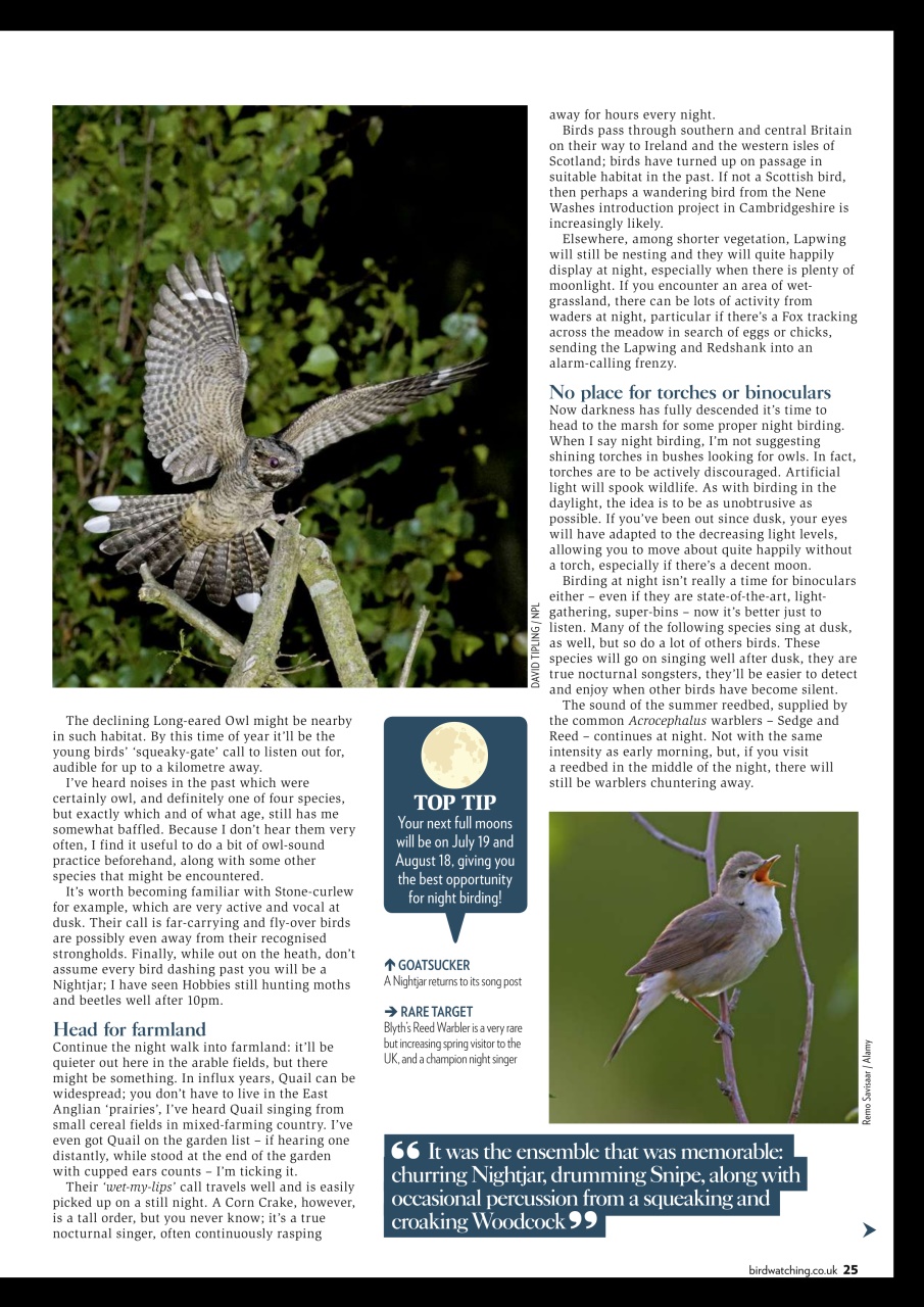 Bird Watching Preview Pages