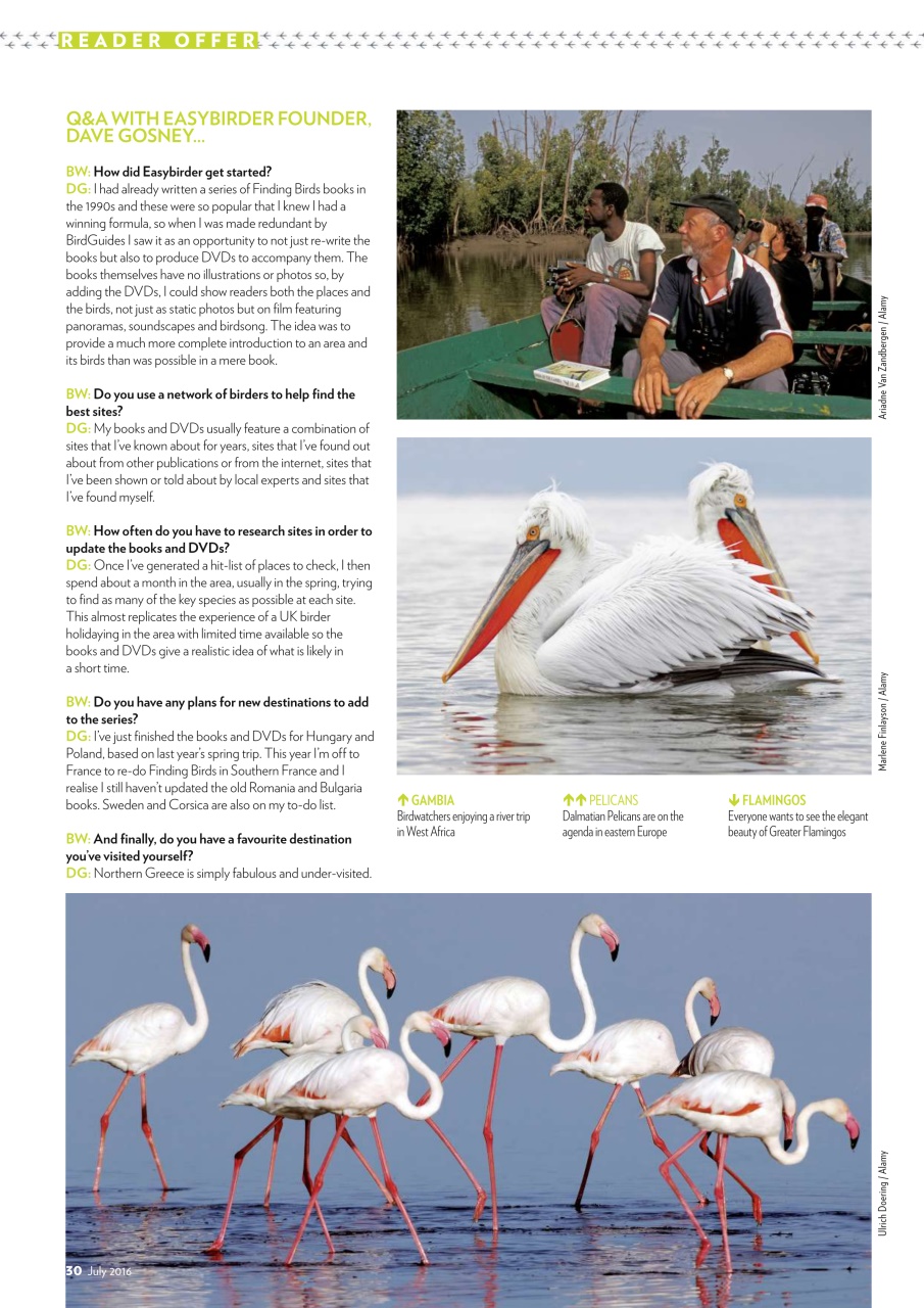 Bird Watching Preview Pages
