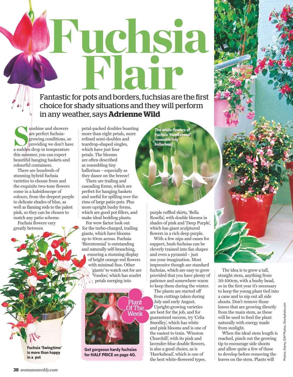 Woman's Weekly Preview Pages