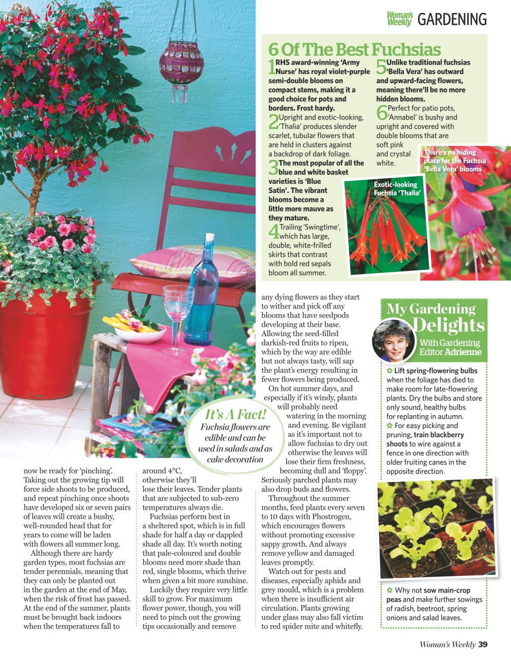 Woman's Weekly Preview Pages