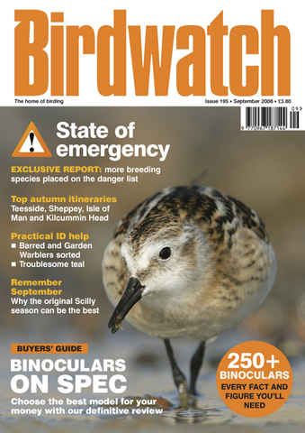 Birdwatch Magazine issue September 2008