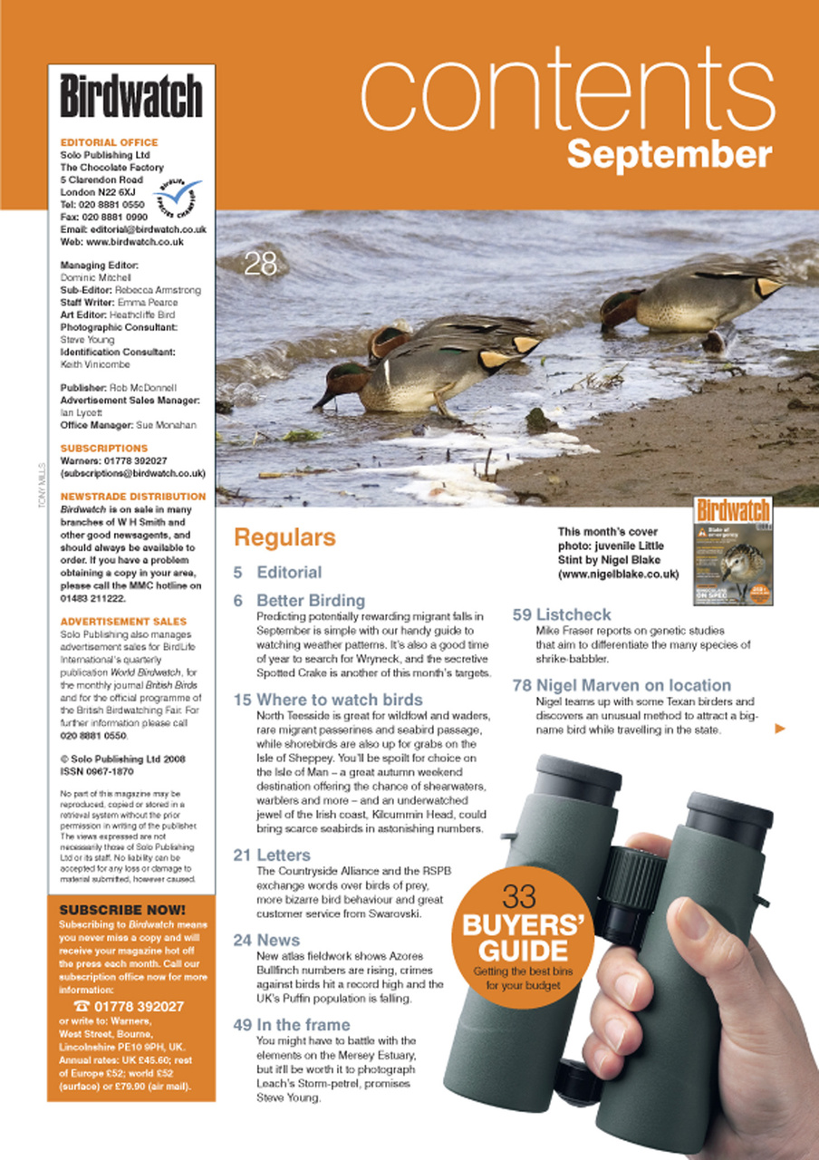 Birdwatch Magazine Preview Pages