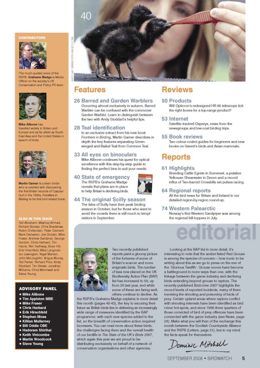 Birdwatch Magazine Preview Pages