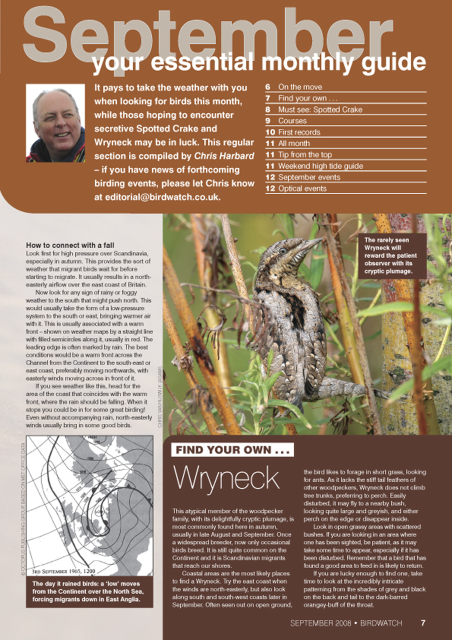 Birdwatch Magazine Preview Pages