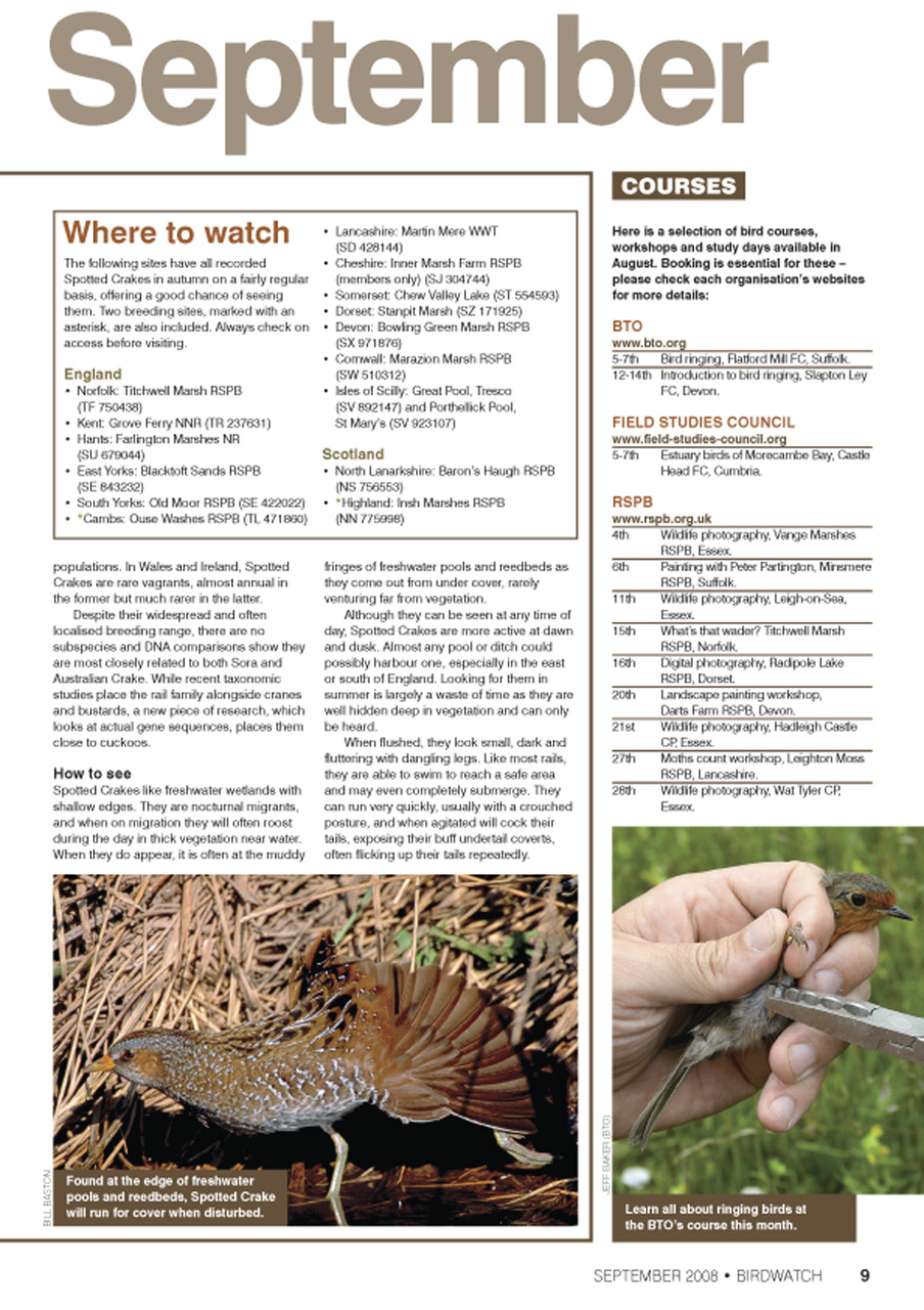 Birdwatch Magazine Preview Pages