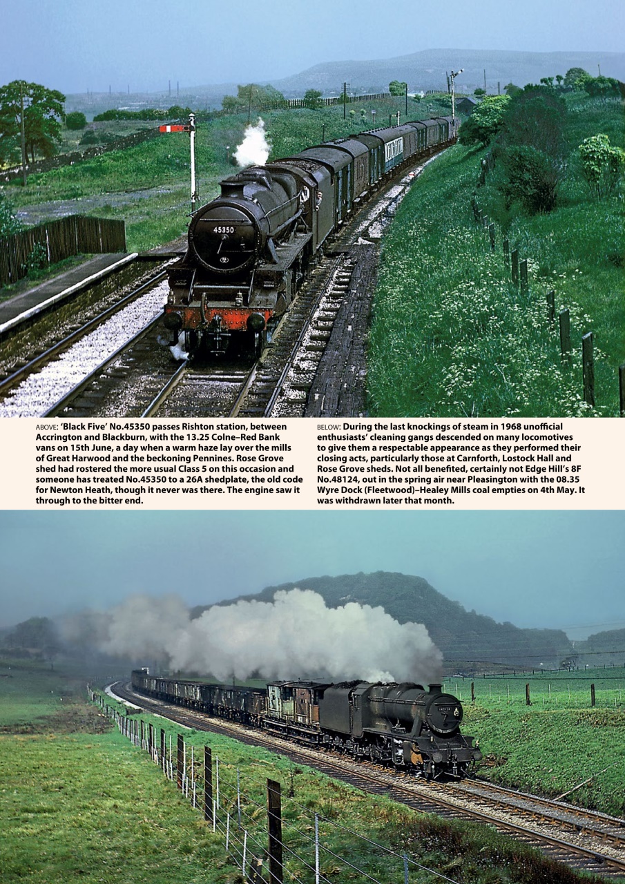 Backtrack Preview Pages