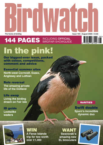 Birdwatch Magazine issue August 2008