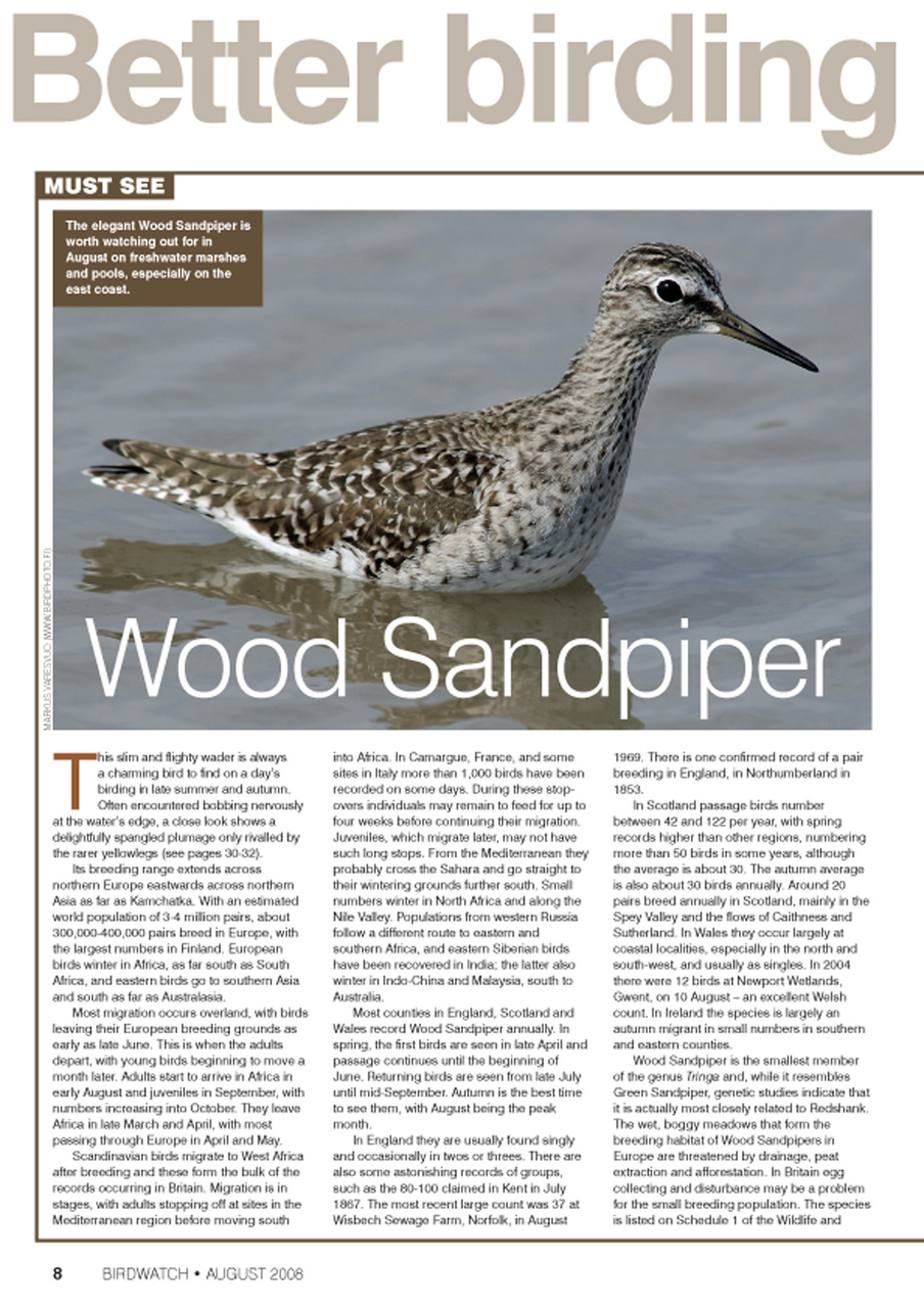 Birdwatch Magazine Preview Pages