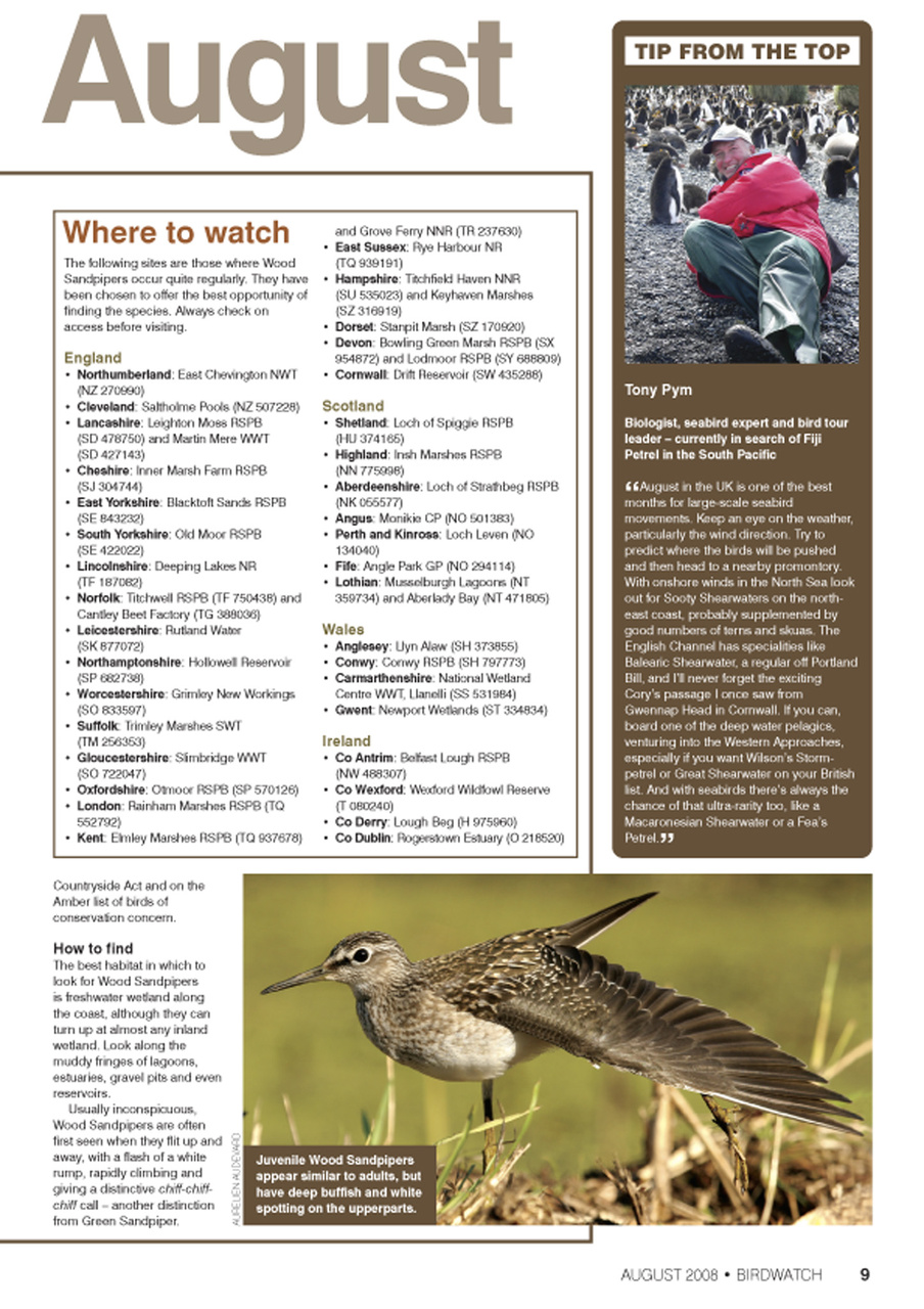 Birdwatch Magazine Preview Pages