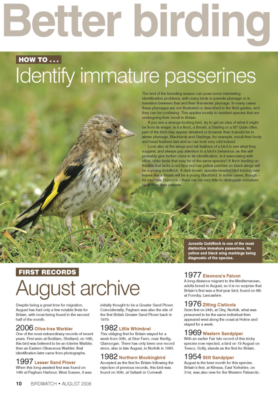 Birdwatch Magazine Preview Pages