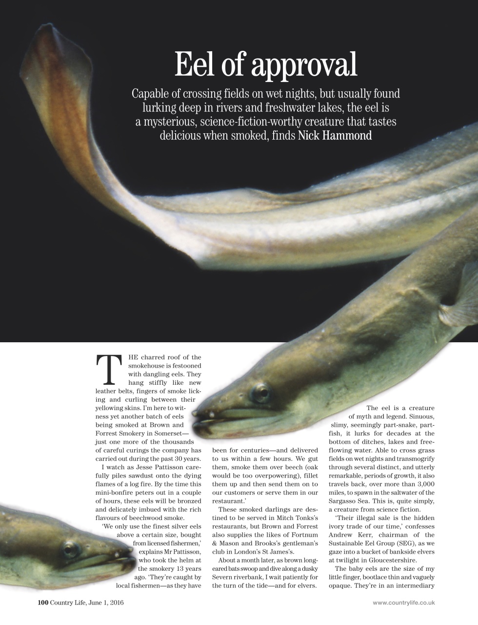 Country Life Preview Pages