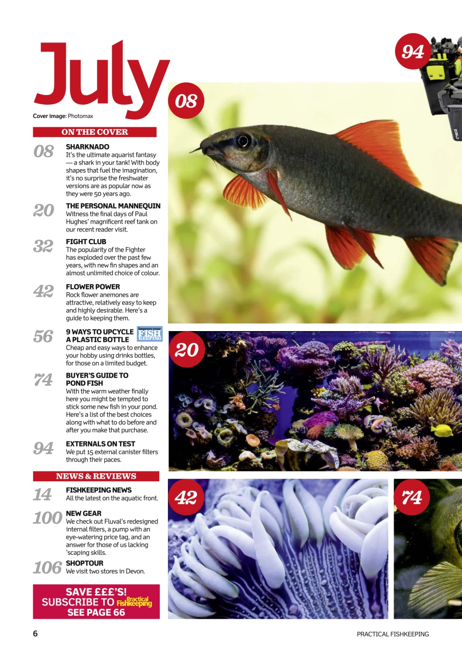 Practical Fishkeeping Preview Pages