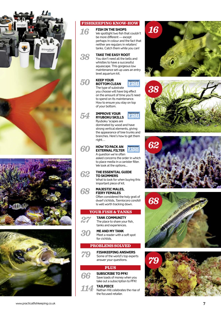 Practical Fishkeeping Preview Pages