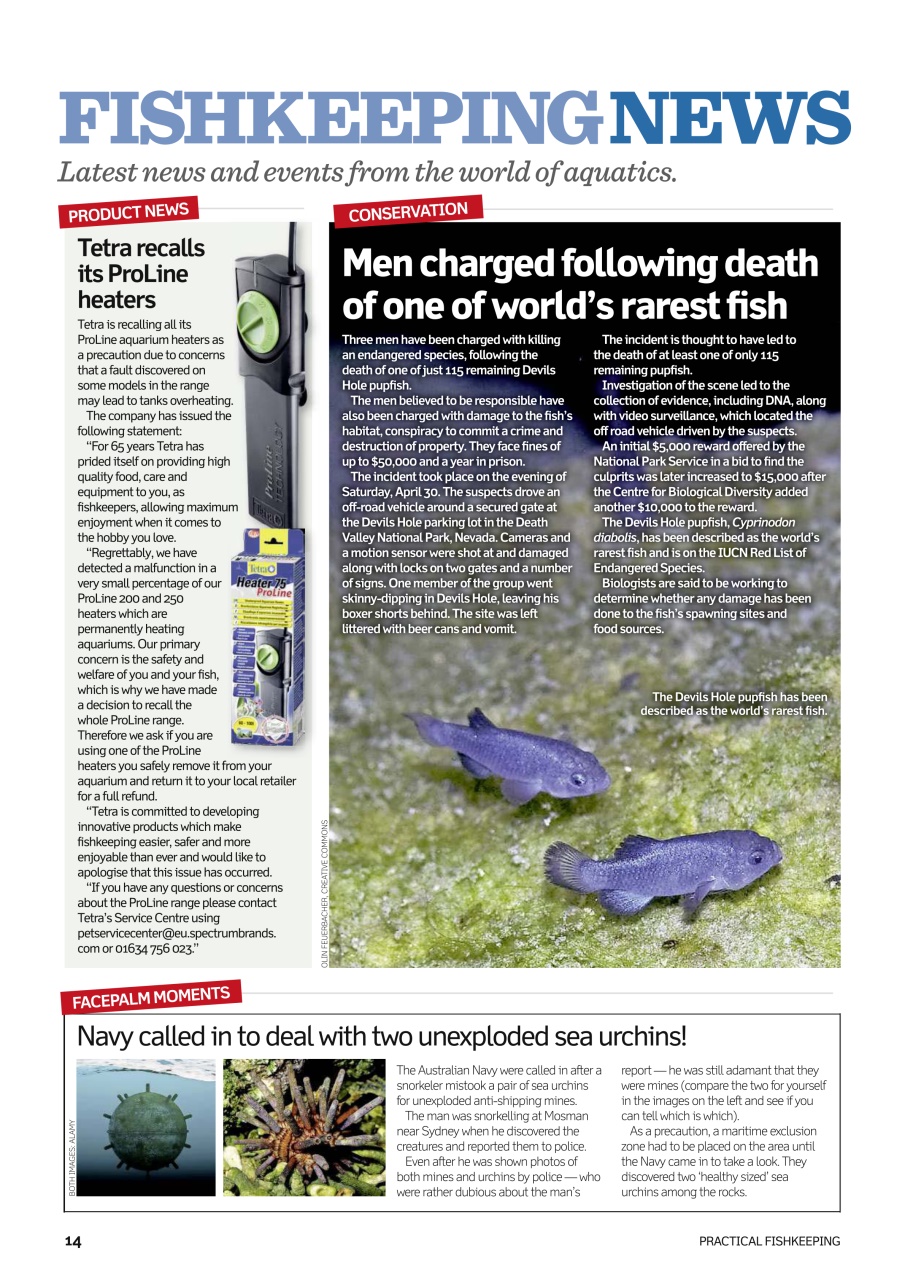 Practical Fishkeeping Preview Pages