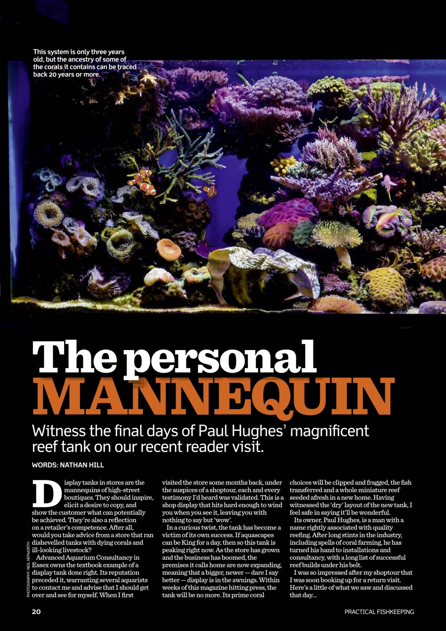 Practical Fishkeeping Preview Pages