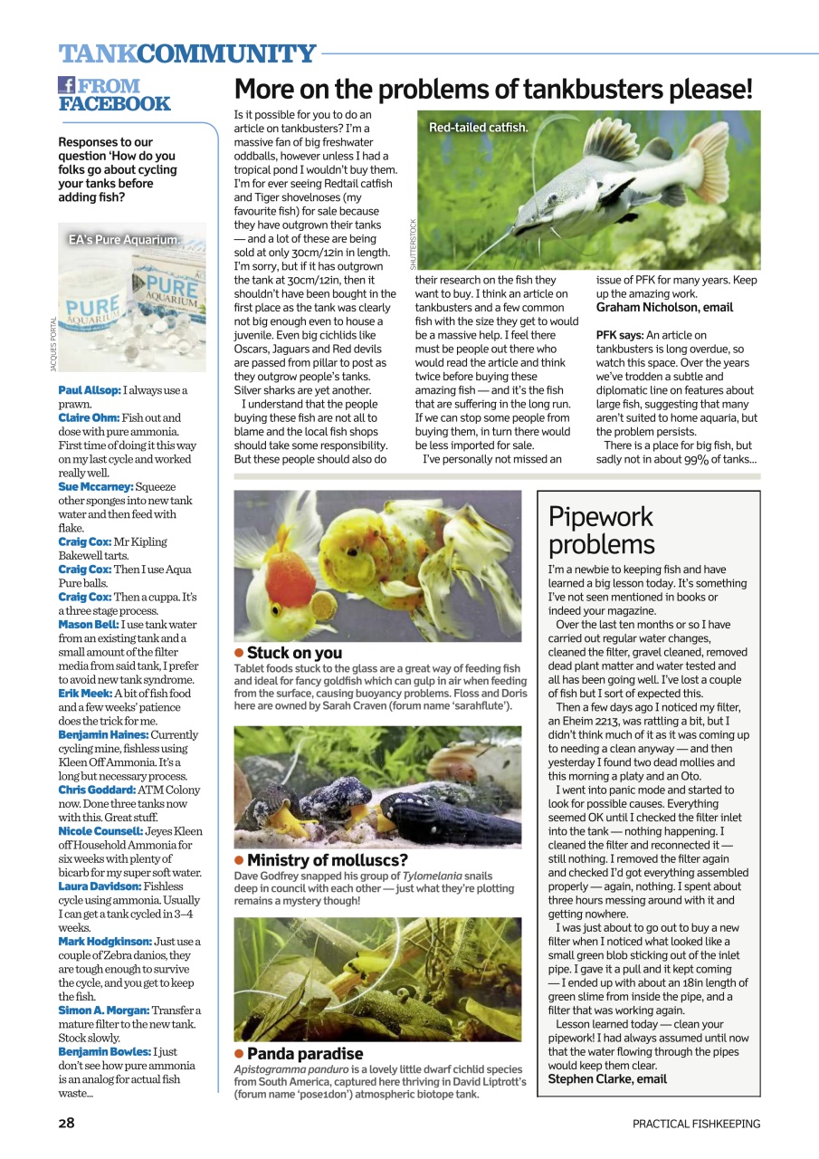 Practical Fishkeeping Preview Pages