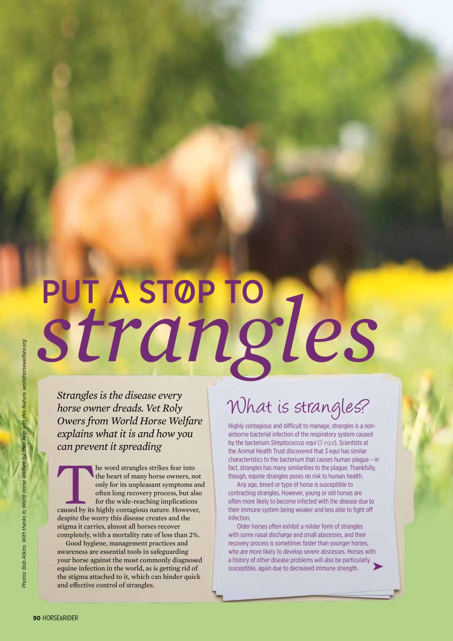 Horse&Rider Magazine - UK equestrian magazine for Horse and Rider Preview Pages
