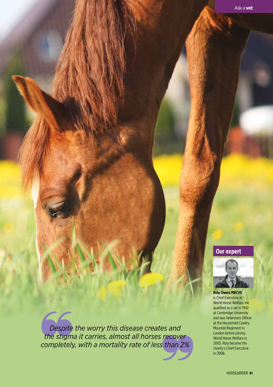 Horse&Rider Magazine - UK equestrian magazine for Horse and Rider Preview Pages