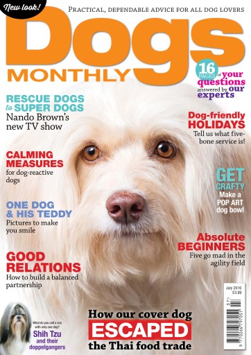 Dogs Monthly issue 