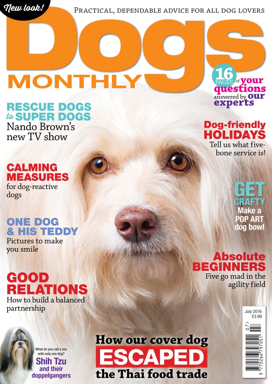 Dogs Monthly Preview Pages