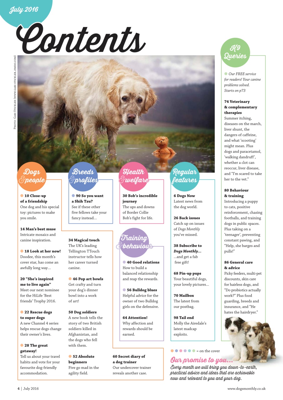 Dogs Monthly Preview Pages
