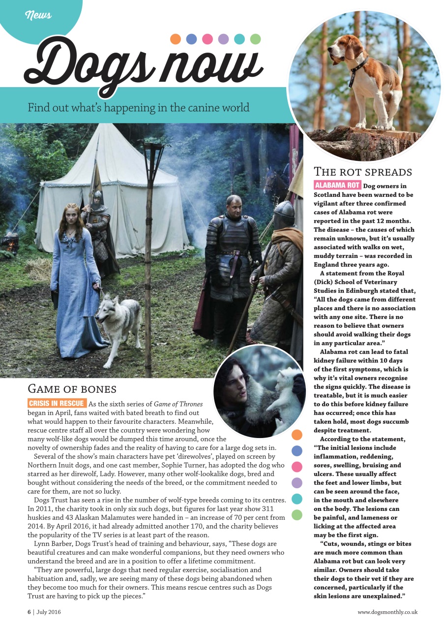 Dogs Monthly Preview Pages