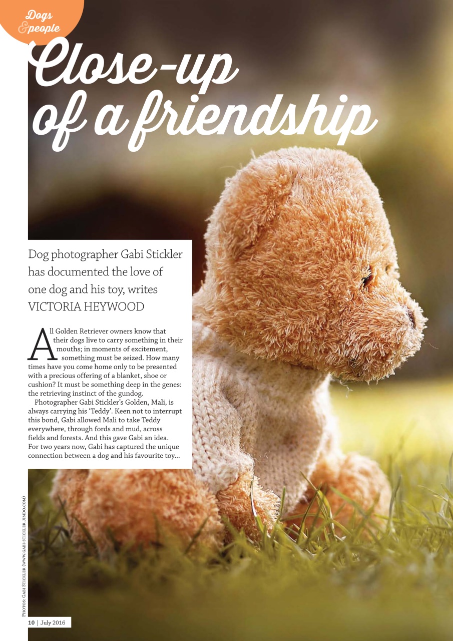 Dogs Monthly Preview Pages