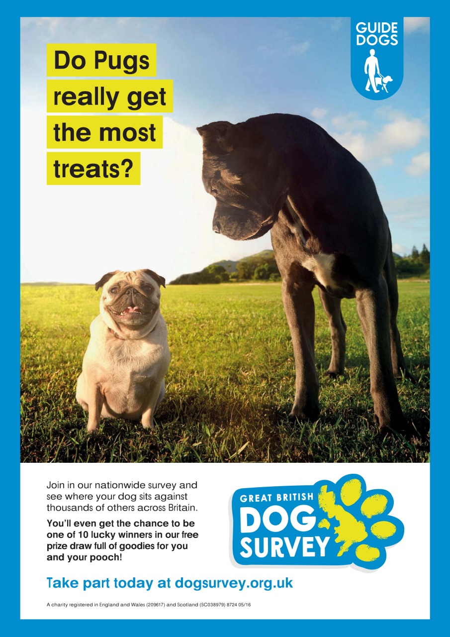 Dogs Monthly Preview Pages