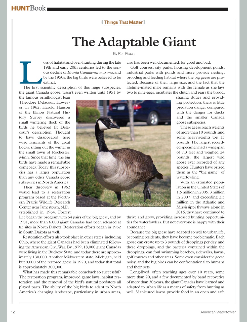 American Waterfowler Preview Pages