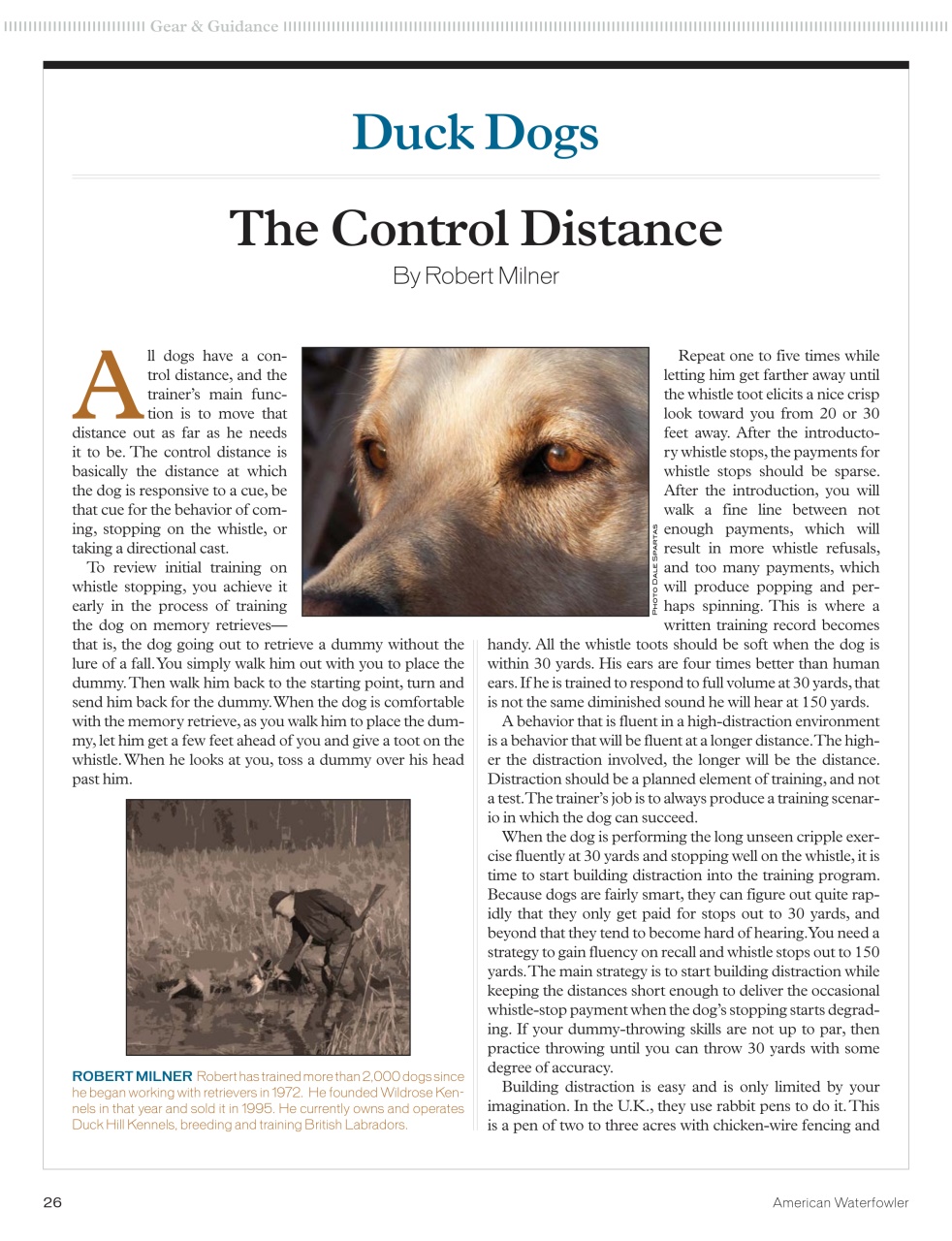 American Waterfowler Preview Pages