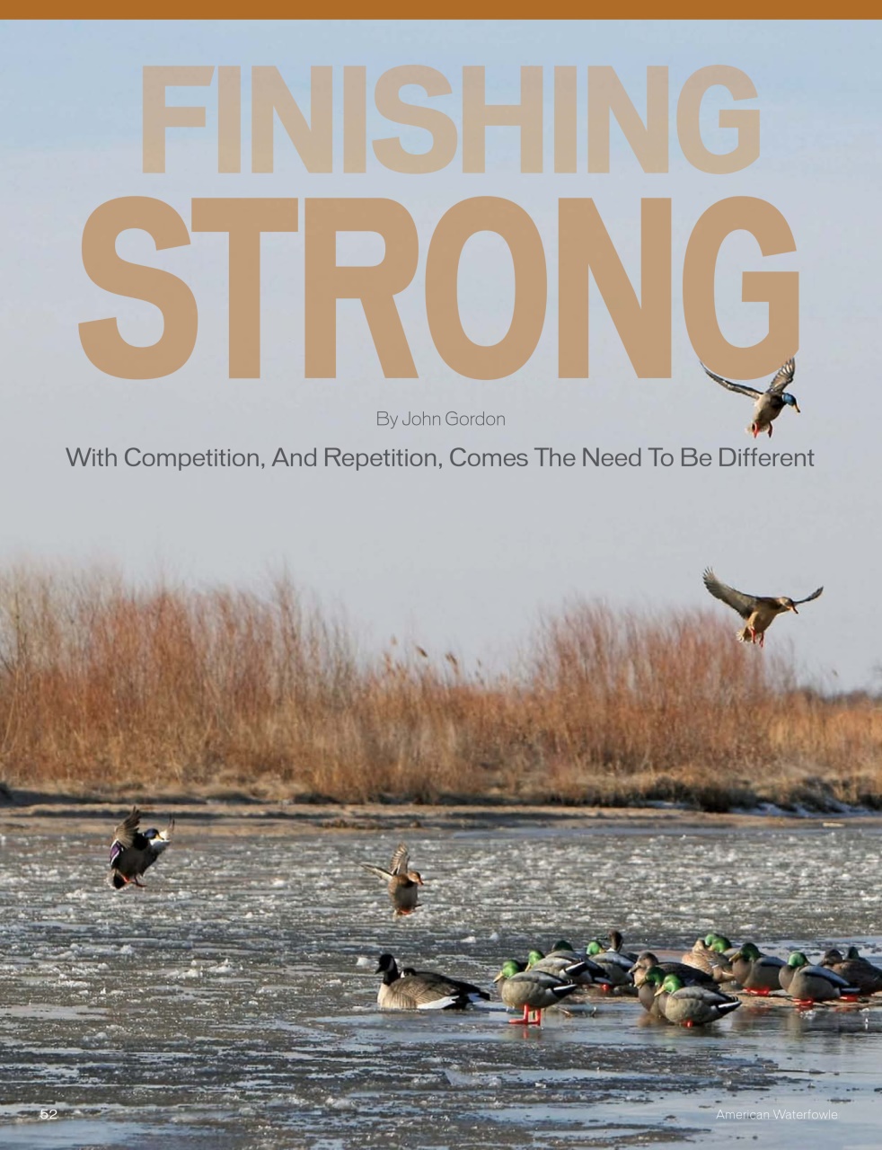 American Waterfowler Preview Pages