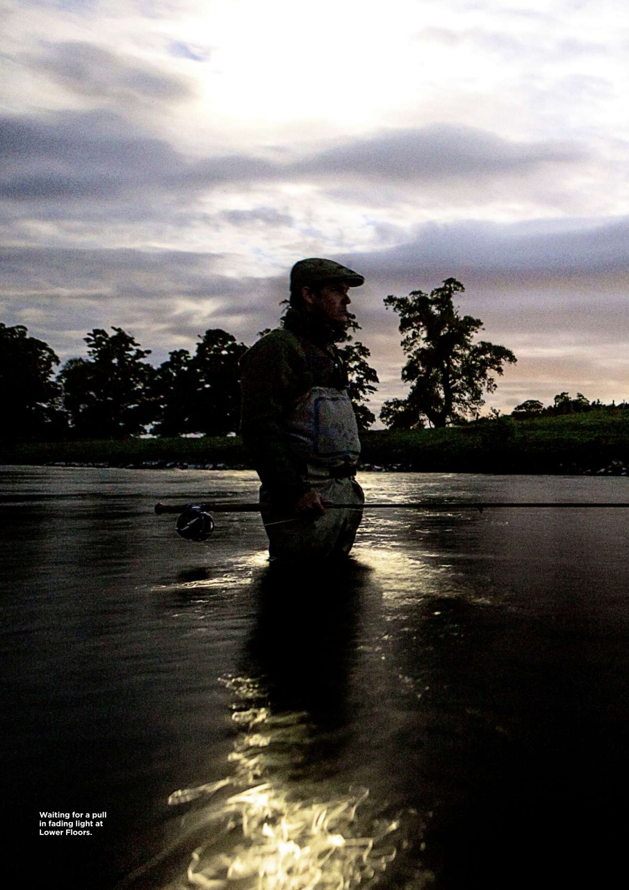 Trout & Salmon Preview Pages