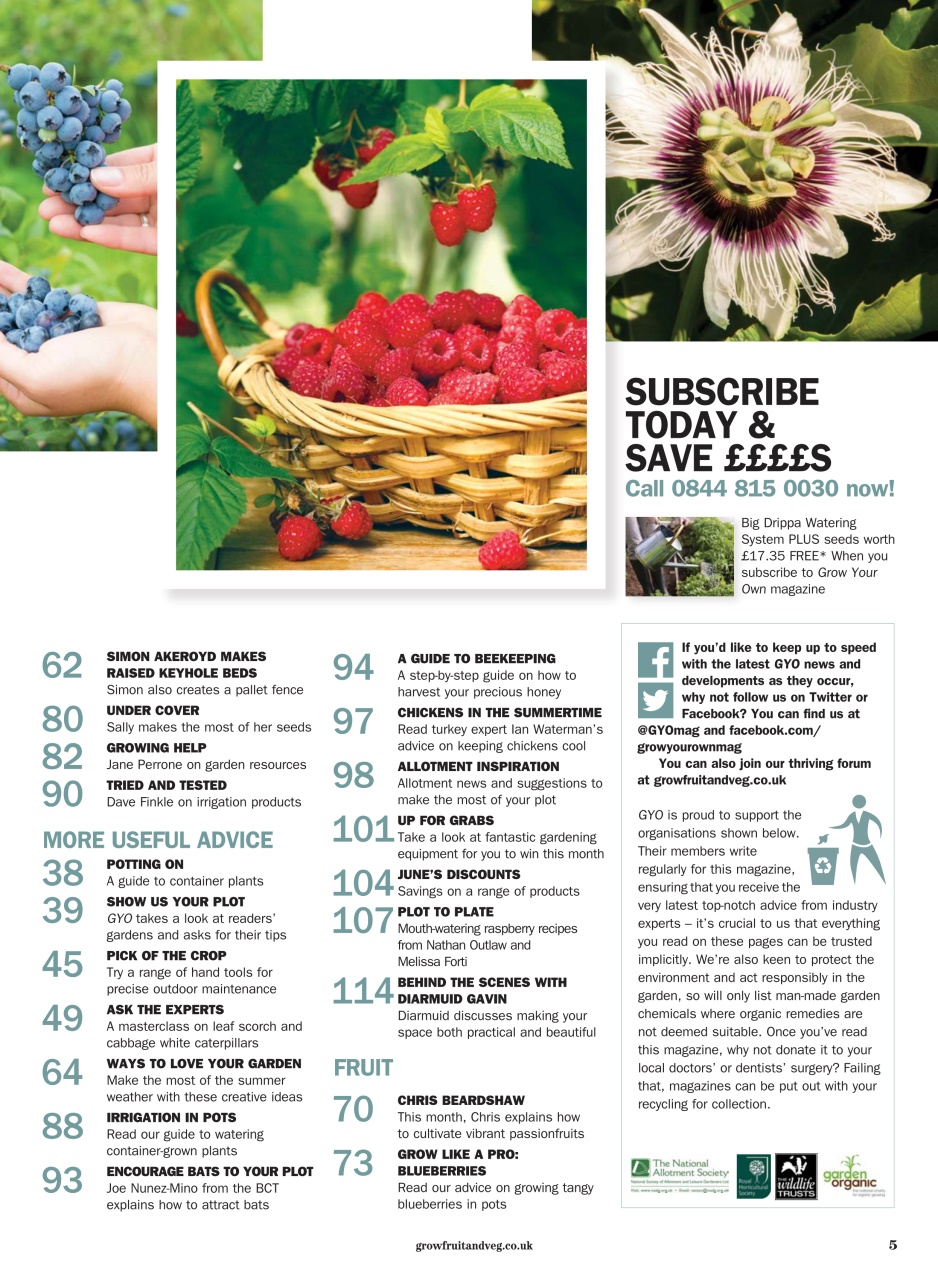 Grow Your Own Preview Pages