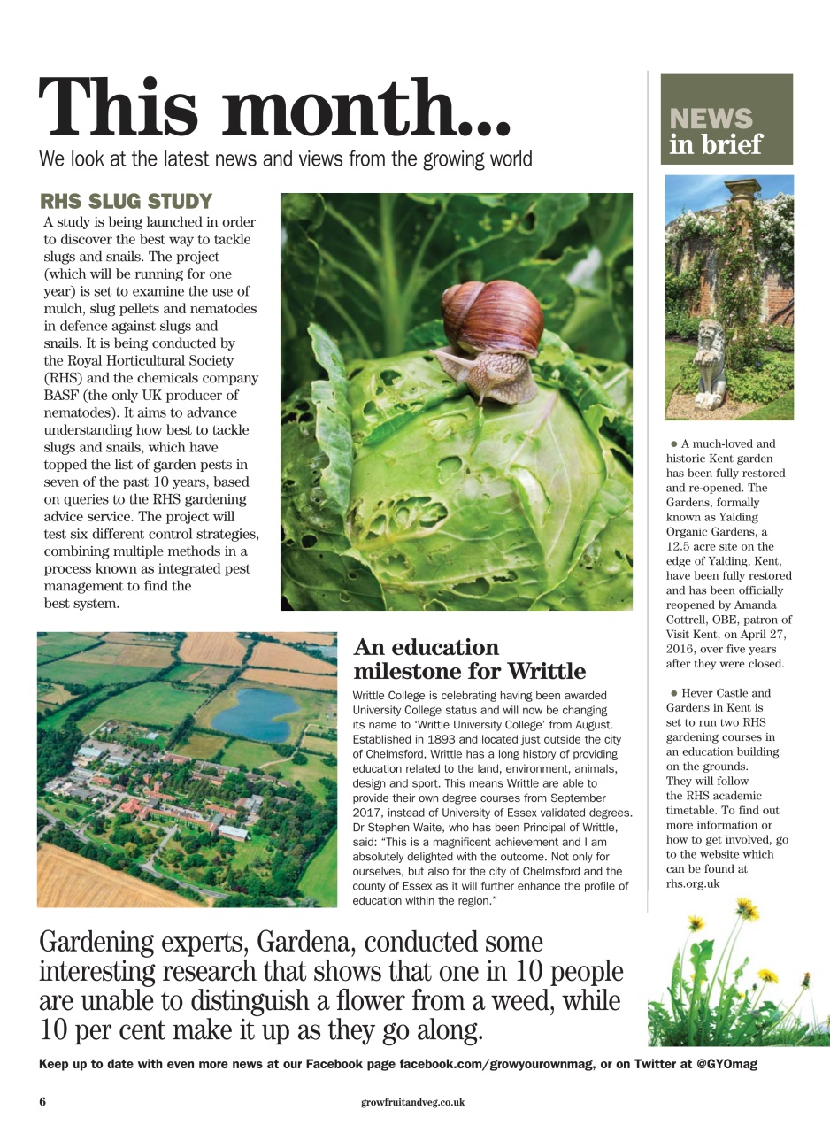 Grow Your Own Preview Pages