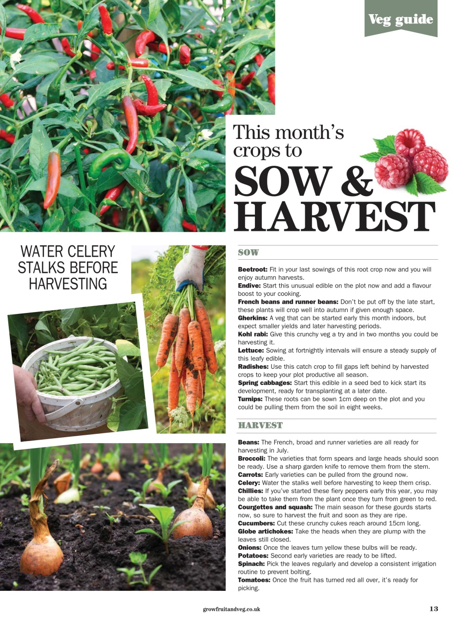 Grow Your Own Preview Pages