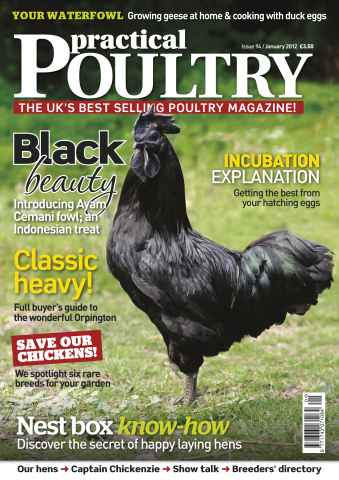 Practical Poultry issue Practical Poultry January 2012