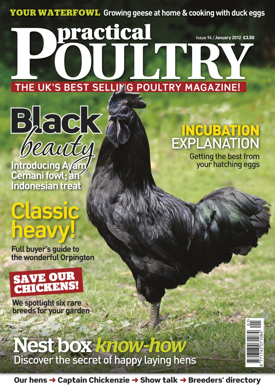 Practical Poultry Preview Pages
