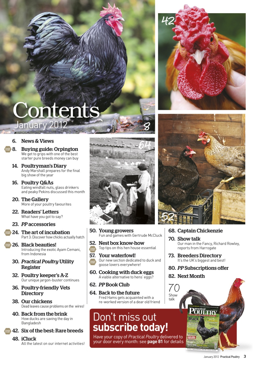 Practical Poultry Preview Pages