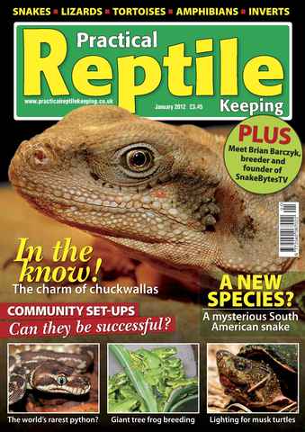 Practical Reptile Keeping issue No.32 Community Vivariums