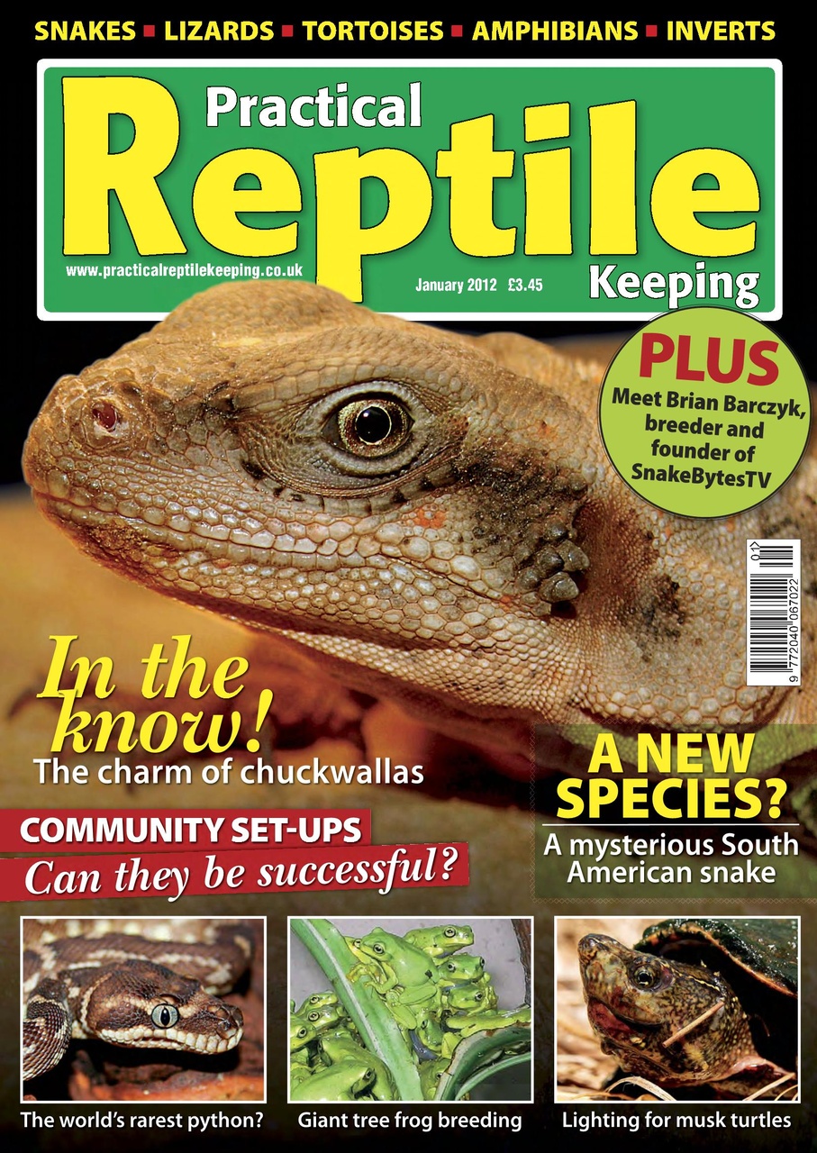 Practical Reptile Keeping Preview Pages